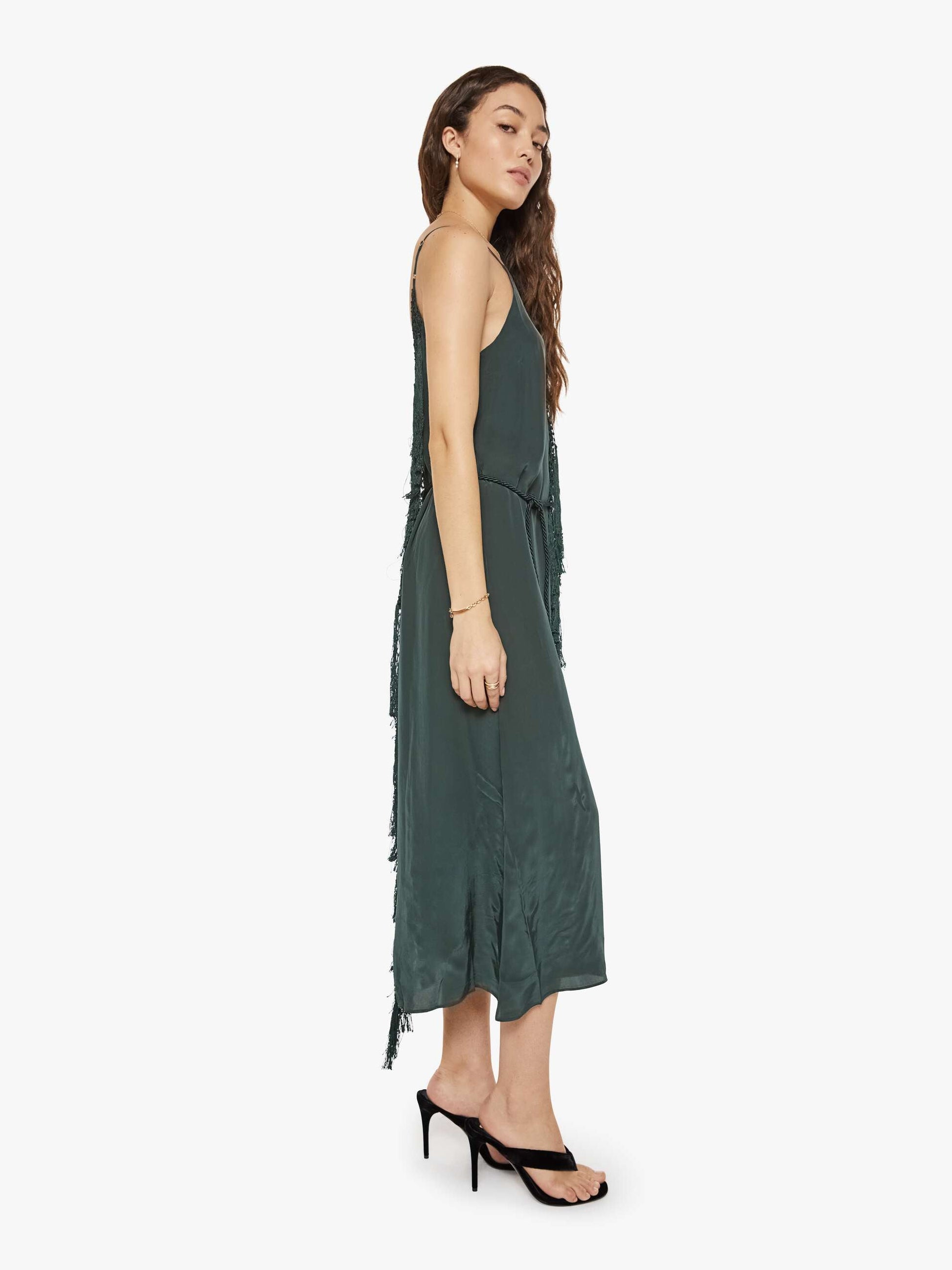 Mother Denim Brands Maria Cher Casey Dress