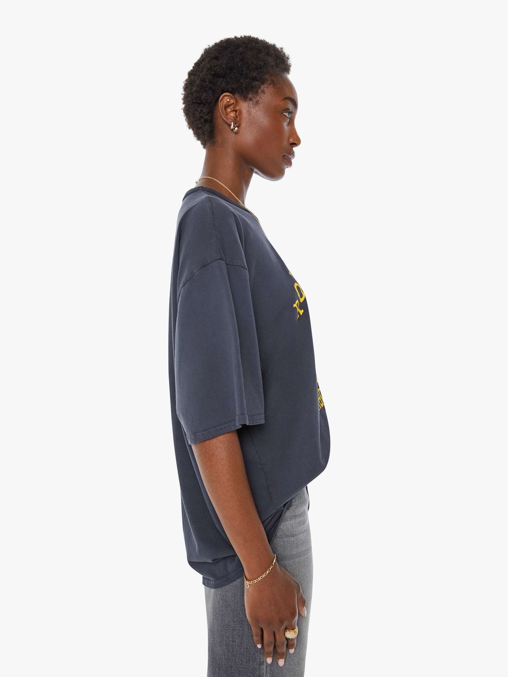 Mother Denim Men The Coops Tee